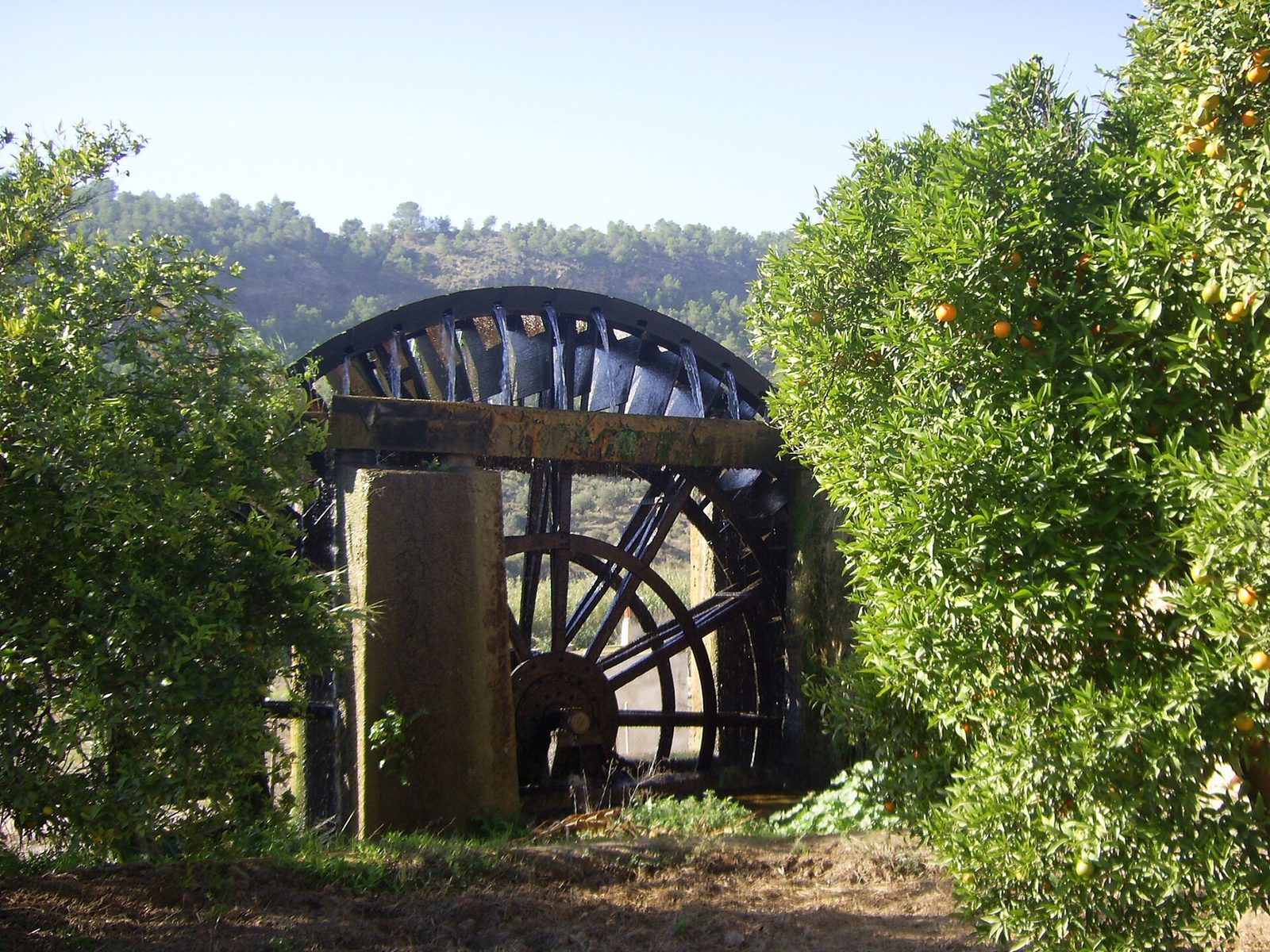 Abarán, Valle de Ricote