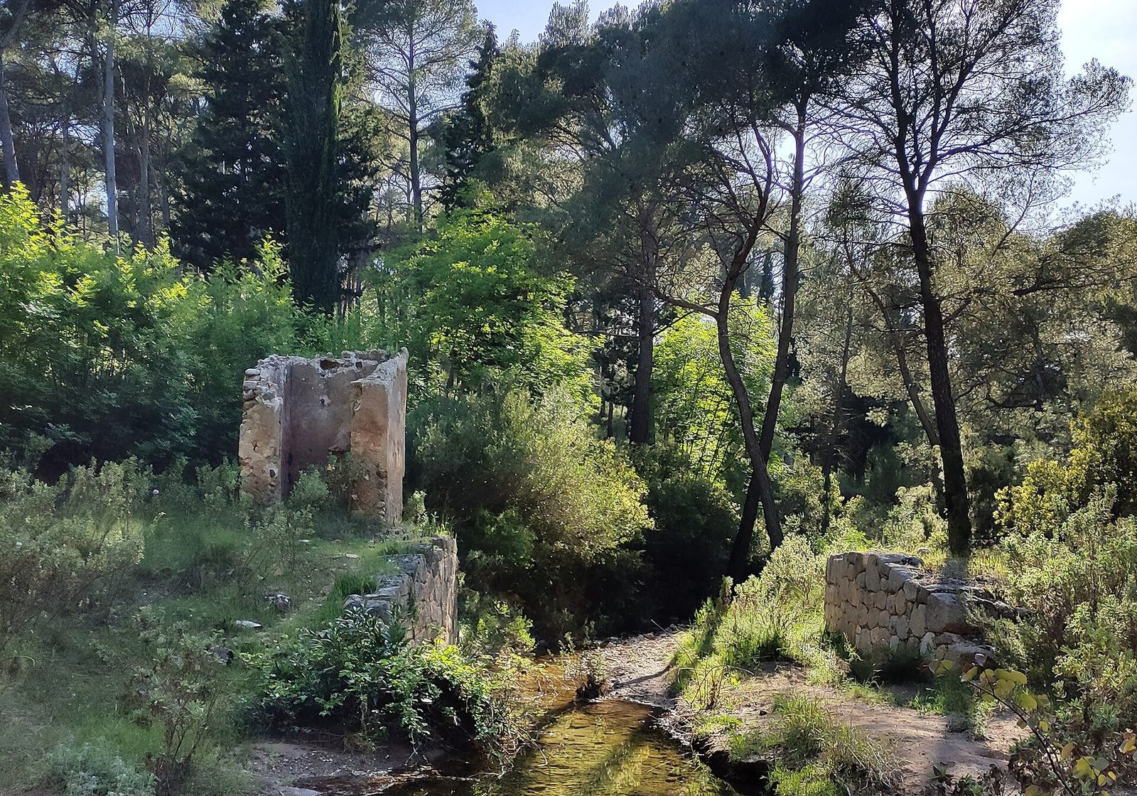 Campo de Murcia